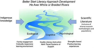 Large scale implementation of effective early literacy instruction